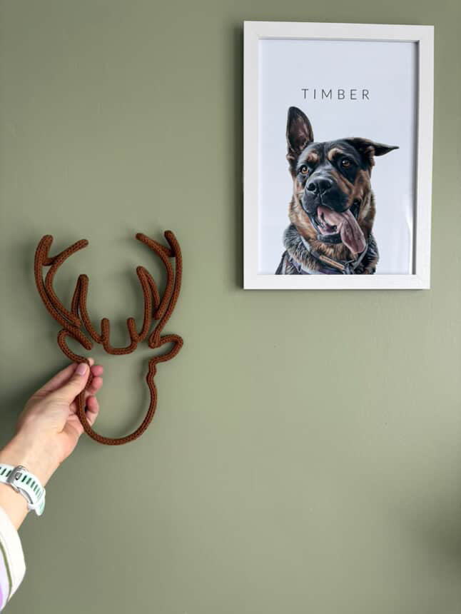 Stag head
